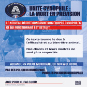 PM UNITE CYNOPHILE MORT EN PREVISION