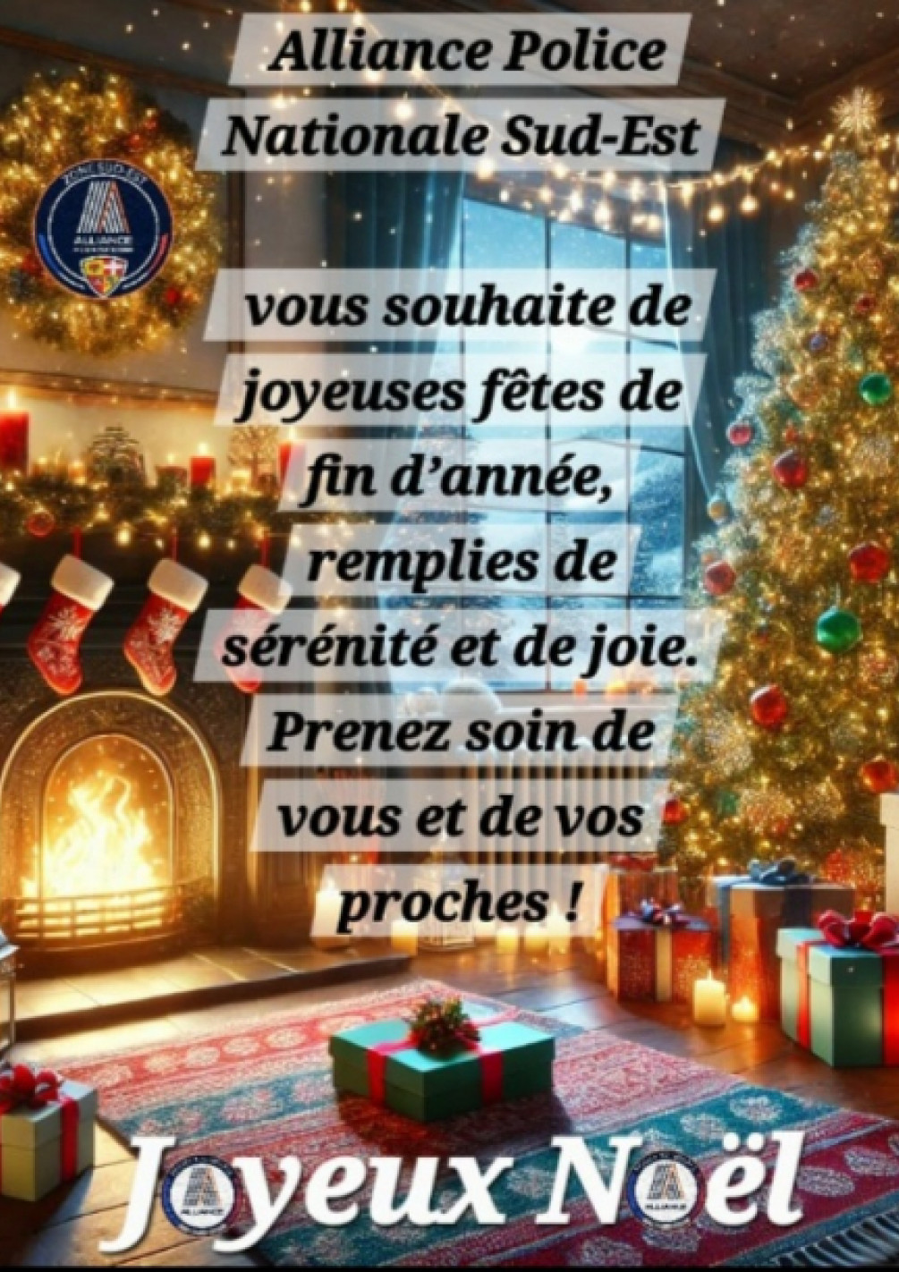 JOYEUSES  FÊTES DE FIN D'ANNÉE   !!!